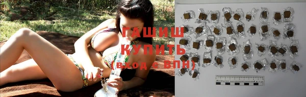 хмурый Аркадак