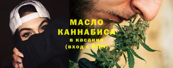 хмурый Аркадак