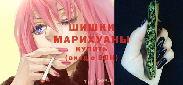 хмурый Аркадак