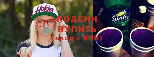 хмурый Аркадак