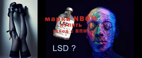 хмурый Аркадак