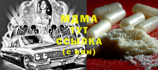 хмурый Аркадак