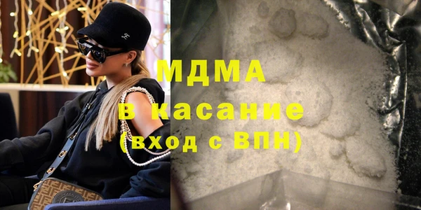 хмурый Аркадак