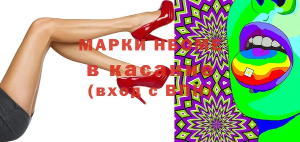 хмурый Аркадак