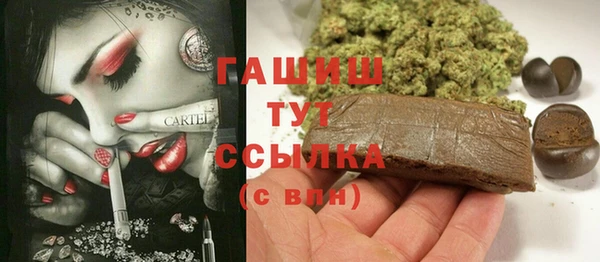 хмурый Аркадак