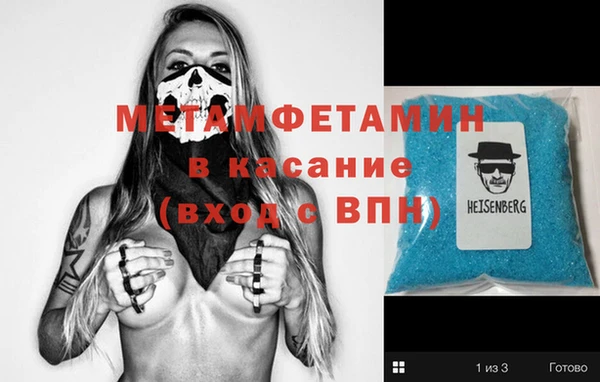 хмурый Аркадак